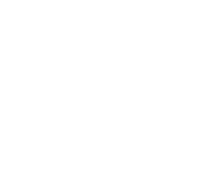 tockice