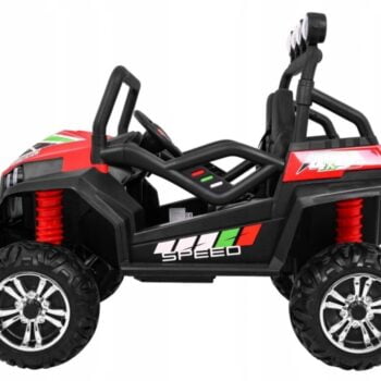 Buggy 2.jpg