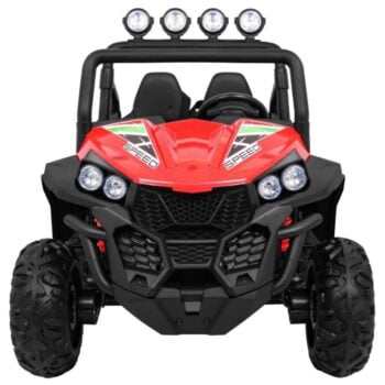 Buggy 5.jpg