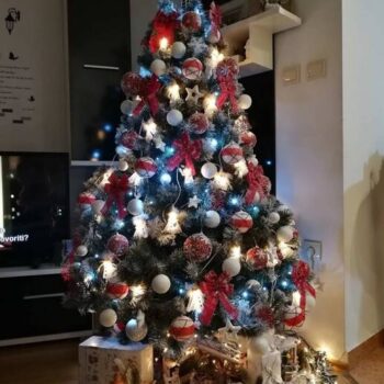 Umjetni Bor Beata Slika 105572743.jpg
