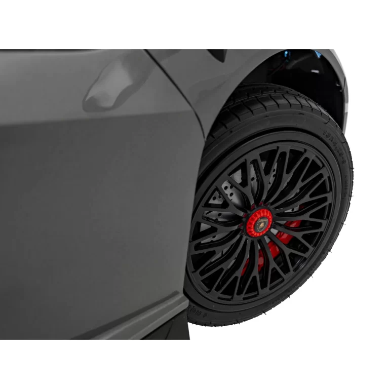 Lamborghini Aventador Sv 24v Bat Grey Auto Na Akumulator 19