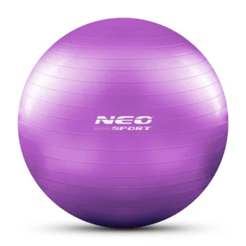 Pilates Lopta Ns 951 Purple 2