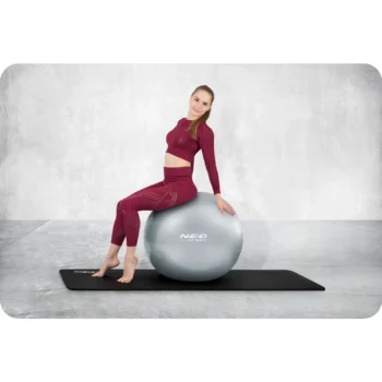 Pilates Lopta Ns 951 Srebrna 4