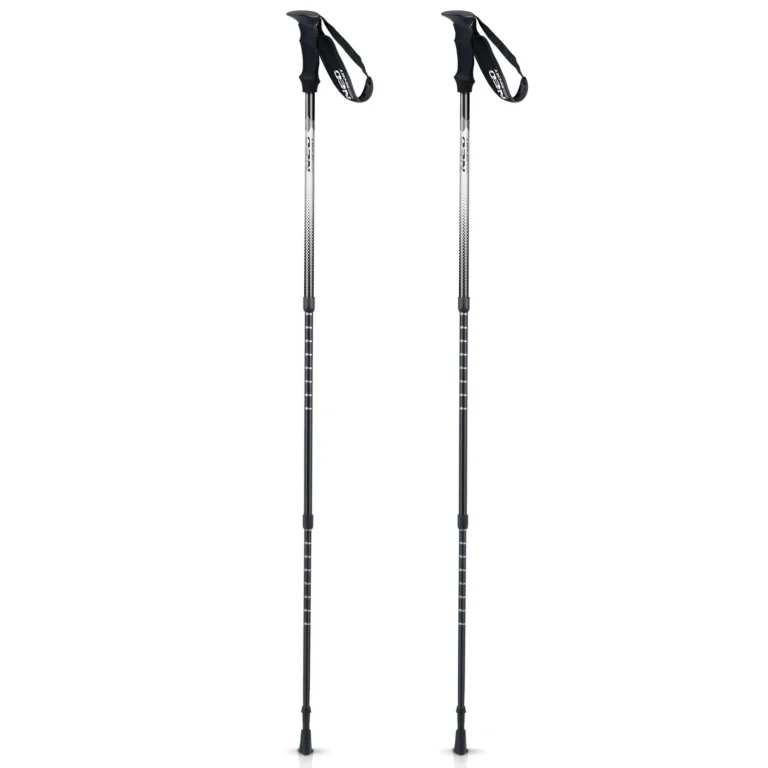 Štapovi Za Planinarenje Treck Snow Neosport 2