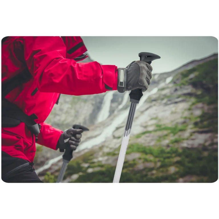 Štapovi Za Planinarenje Treck Snow Neosport 8