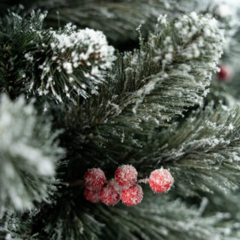 Umjetni Bor Christmas Carol 1